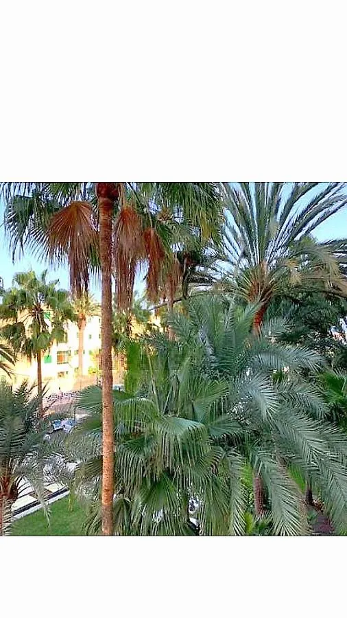 Maspalomas Del Mar San Bartolomé Apartamento